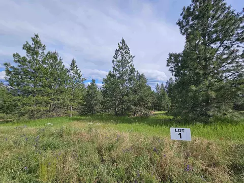 NNA S Sands Rd #1, Valleyford, WA 99036