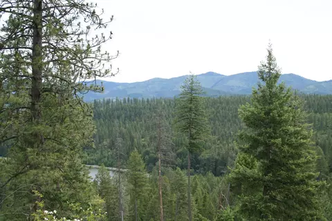 3 Nnn Beitey Rd, Valley, WA 99181