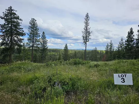 NNA S Sands Rd #3, Valleyford, WA 99036