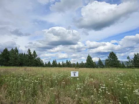 NNA S Sands Rd #5, Valleyford, WA 99036