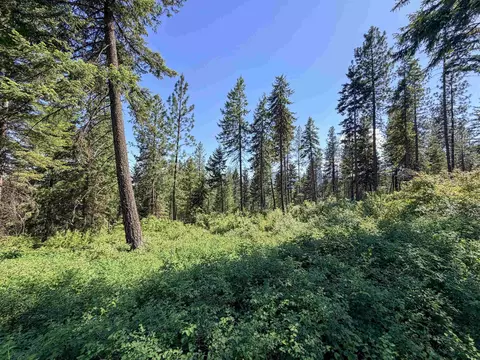 2008- Tbd Summit Valley Rd, Addy, WA 99101 photo 14