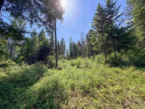 2008- Tbd Summit Valley Rd, Addy, WA 99101 photo 2