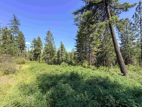 2008- Tbd Summit Valley Rd, Addy, WA 99101 photo 15