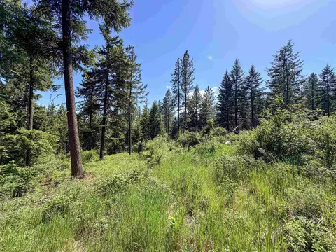 2008- Tbd Summit Valley Rd, Addy, WA 99101 photo 11