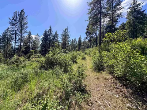2008- Tbd Summit Valley Rd, Addy, WA 99101 photo 12