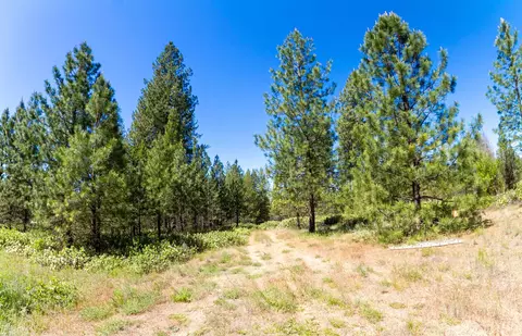 29 N Nnn N Hardesty Rd, Chattaroy, WA 99003