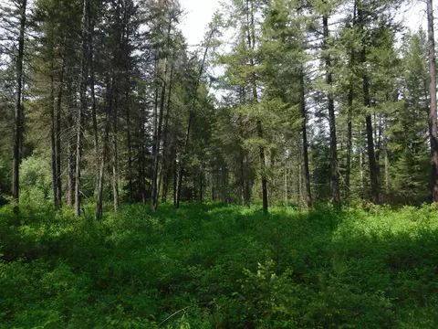 Nn Woolard Rd, Colbert, WA 99005 photo 19