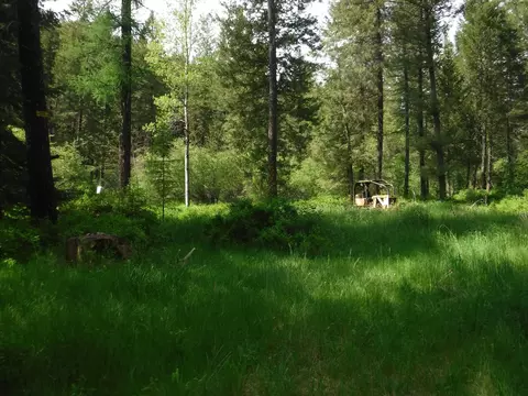 Nn Woolard Rd, Colbert, WA 99005 photo 20