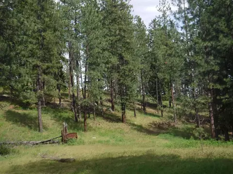 Nn Woolard Rd, Colbert, WA 99005 photo 15