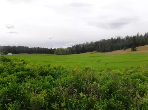 Nn Woolard Rd, Colbert, WA 99005 photo 10