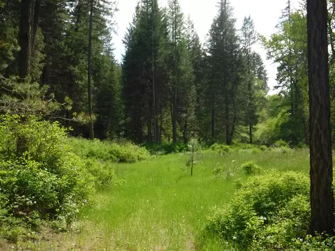 Nn Woolard Rd, Colbert, WA 99005 photo 5