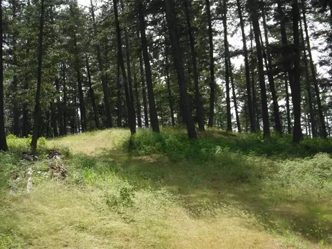 Nn Woolard Rd, Colbert, WA 99005 photo 13