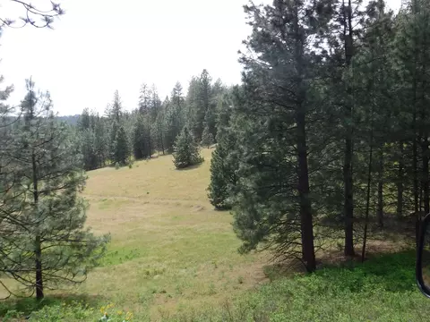 Nn Woolard Rd, Colbert, WA 99005 photo 12