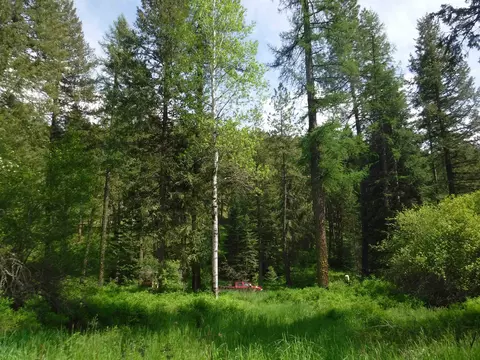 Nn Woolard Rd, Colbert, WA 99005 photo 23