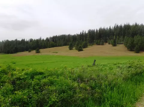 Nn Woolard Rd, Colbert, WA 99005 photo 7
