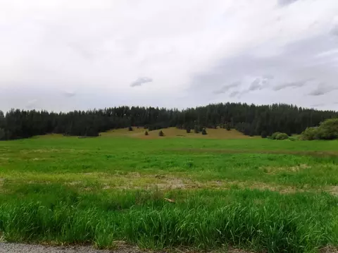 Nn Woolard Rd, Colbert, WA 99005 photo 6