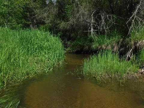 Nn Woolard Rd, Colbert, WA 99005 photo 4