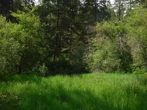 Nn Woolard Rd, Colbert, WA 99005 photo 21