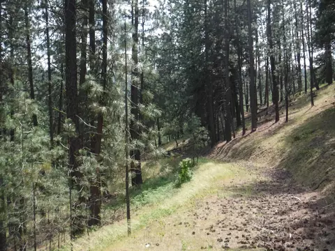 Nn Woolard Rd, Colbert, WA 99005 photo 8