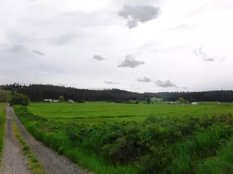 Nn Woolard Rd, Colbert, WA 99005 photo 11