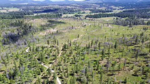 357 N Nn N Conklin Rd, Elk, WA 99009