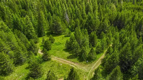 10 N Nnn N Whispering Pines Ln, Elk, WA 99009