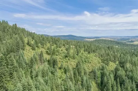 11507 S Alpine Fern Ln, Rockford, WA 99030