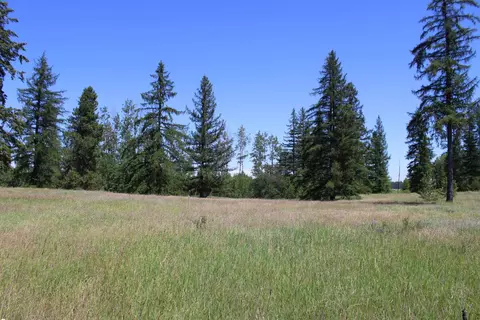 45 W Nn W Gibson-dahl Rd, Clayton, WA 99110
