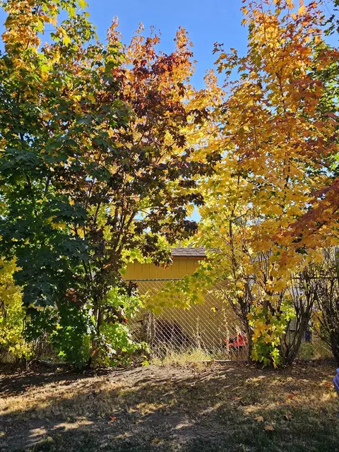 Other - 3920 E Center Rd #20, Mead, WA 99021 photo 11 of 11