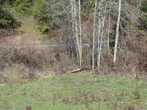 Exterior - 17208 E Blanchard Rd, Elk, WA 99009 photo 17 of 21
