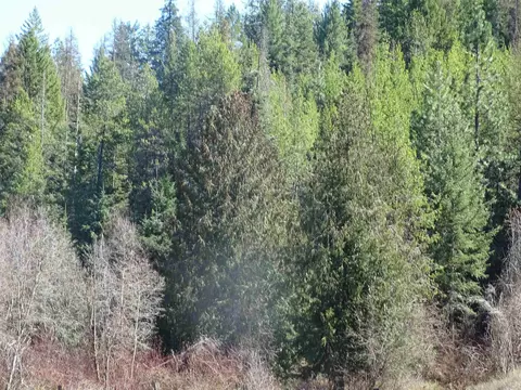 Other - 17208 E Blanchard Rd, Elk, WA 99009 photo 7 of 7
