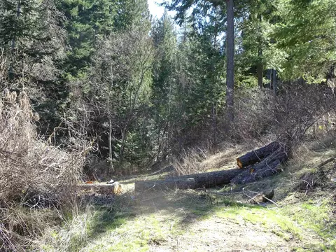 Exterior - 17208 E Blanchard Rd, Elk, WA 99009 photo 11 of 21