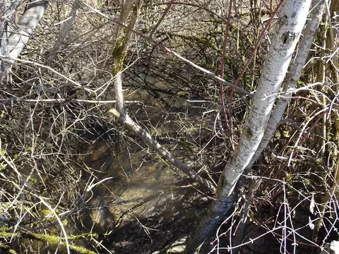 Other - 17208 E Blanchard Rd, Elk, WA 99009 photo 3 of 7