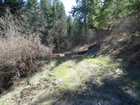 Exterior - 17208 E Blanchard Rd, Elk, WA 99009 photo 7 of 21