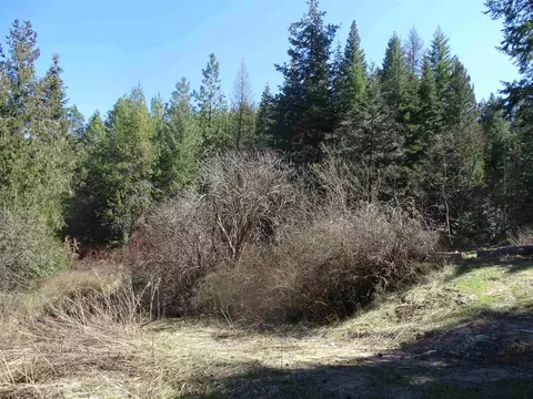 Exterior - 17208 E Blanchard Rd, Elk, WA 99009 photo 9 of 21