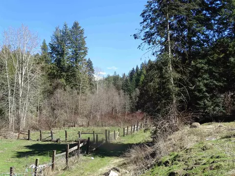 Exterior - 17208 E Blanchard Rd, Elk, WA 99009 photo 6 of 21