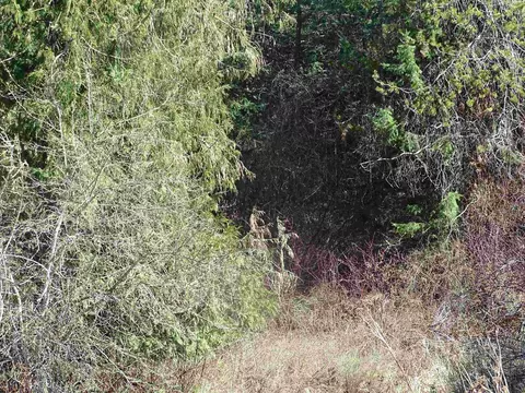 Other - 17208 E Blanchard Rd, Elk, WA 99009 photo 5 of 7