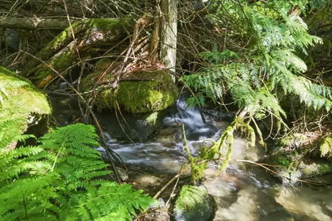 1301 Veit Rd, Newport, WA 99156