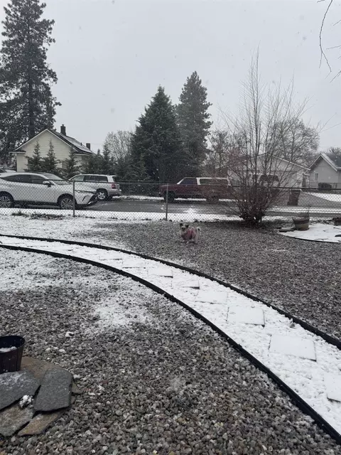 Exterior - 1030 E Sanson Ave, Spokane, WA 99207 photo 10 of 17