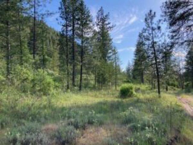 3634 N 25 Hwy, Northport, WA 99157