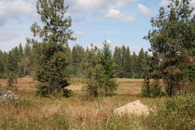 00 Little Sweden Rd #LOT B, Valley, WA 99181
