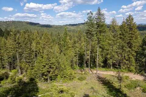 270 Lupine Ln, Newport, WA 99156