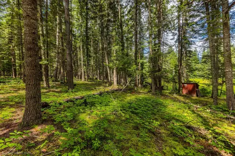 761 Larch Ln, Cusick, WA 99119 photo 8