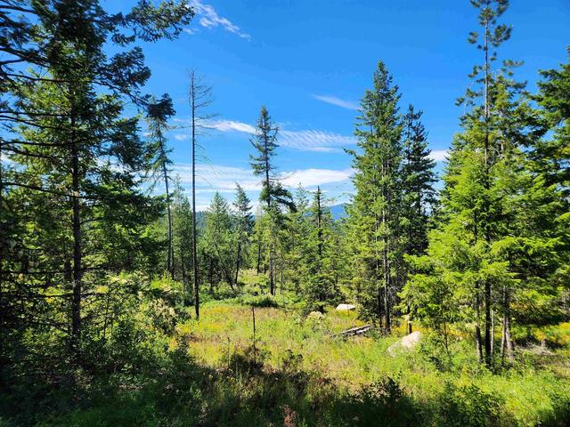 1492 Portrait Way, Colville, WA 99114