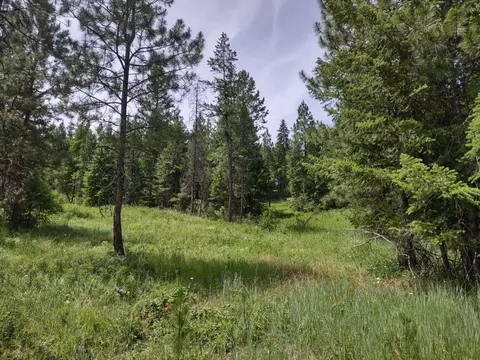 Nn Springdale Hunters Hwy, Springdale, WA 99173