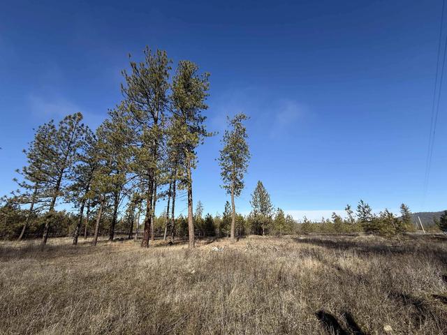 7552 Kimberly Drive Way, Ford, WA 99013