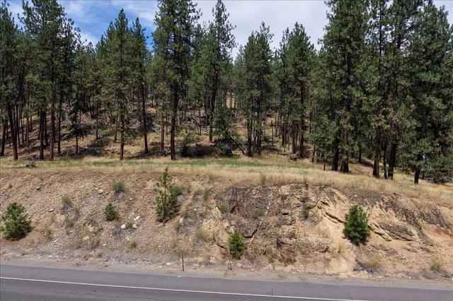 11 Nnn Nine Mile Rd, Nine Mile Falls, WA 99026