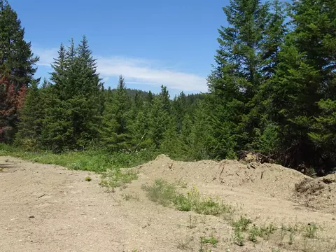 4482 Old E Springdale Rd, Loon Lake, WA 99148