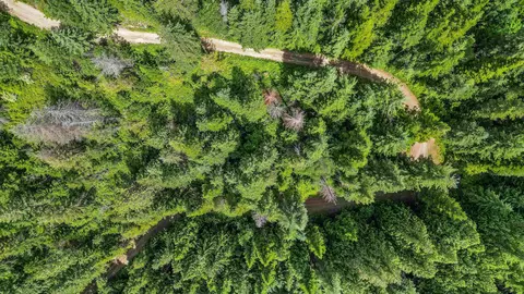 Nnn N Deer Ln, Mead, WA 99021