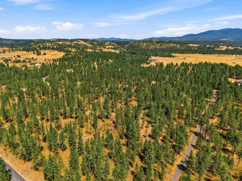 0 E Owens Rd, Chattaroy, WA 99003